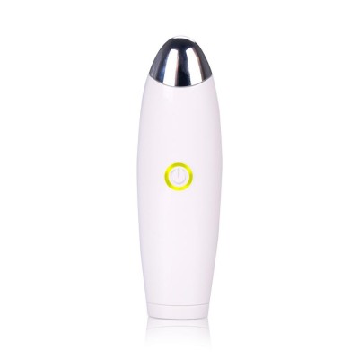 Rechargeable Mini Health Vibrator Beauty Ems Facial Roller Skin Care Eye Massager